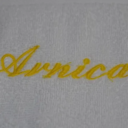 Hotell Arnica
