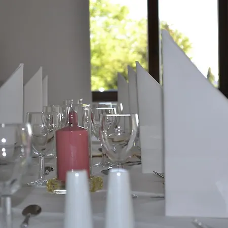 Arnica 3* Todtnauberg