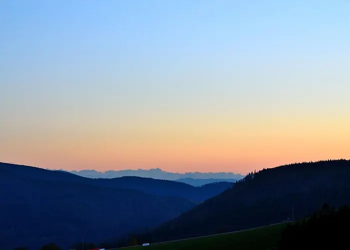 Arnica 3* Todtnauberg